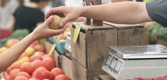 A solução está nas cidades. Nas pequenas iniciativas e nos pequenos projetos