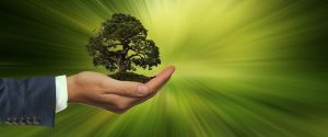 Empresa boa é a que tem responsabilidade social e ambiental