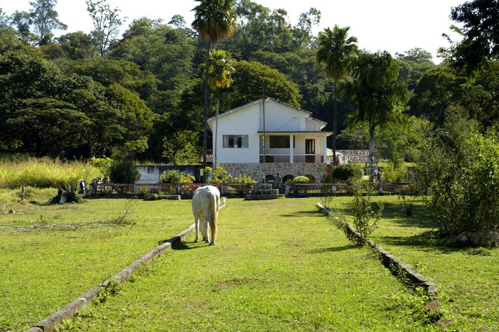 UFMG projeta campus avançado e sustentável na Fazenda Modelo