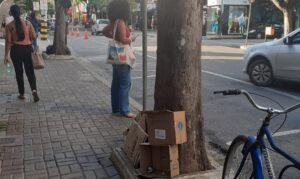 Má gestão de recicláveis pode aumentar casos de dengue